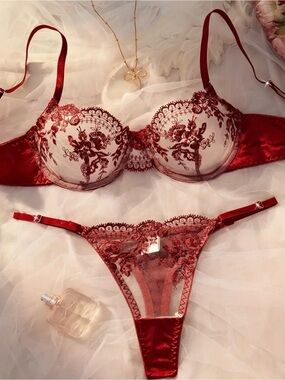 Red Embroidered Lace Bra & Thong Set - Women Intimates